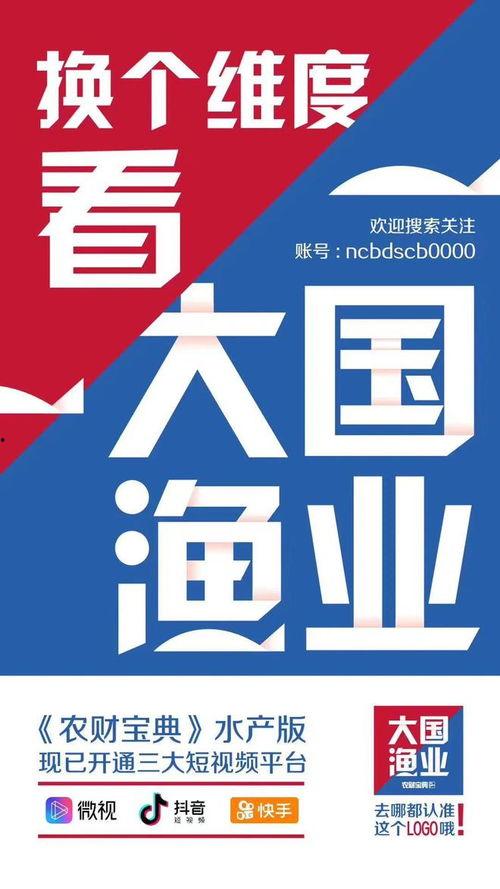 今日佛山爆料消息新闻视频,视频揭露城市热点事件